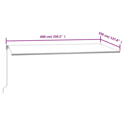 Automatisk Uttrekkbar Markise 600X350 Cm Blå Og Hvit